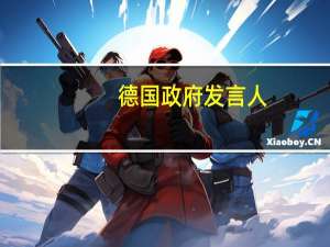 德国政府发言人：认为在沙特吉达举行的乌克兰和平谈判是一次成功的会议