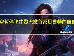 德国汉莎航空暂停飞往黎巴嫩首都贝鲁特的航班持续至11月14日
