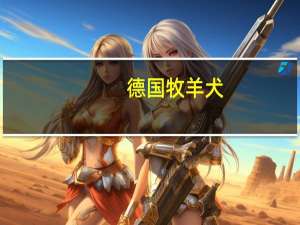 德国牧羊犬（关于德国牧羊犬的介绍）
