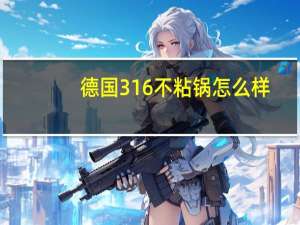 德国316不粘锅怎么样