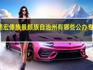 德宏傣族景颇族自治州有哪些公办专科大学