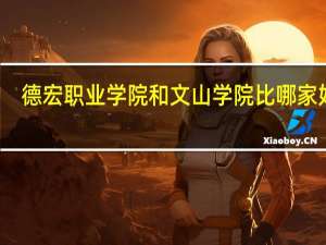 德宏职业学院和文山学院比哪家好点
