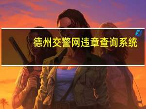 德州交警网违章查询系统（德州交警网违章查询）