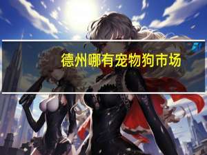 德州哪有宠物狗市场