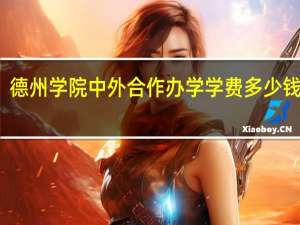 德州学院中外合作办学学费多少钱一年