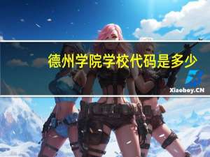 德州学院学校代码是多少