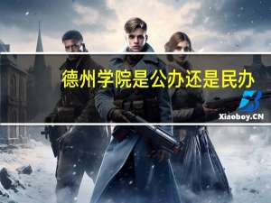 德州学院是公办还是民办