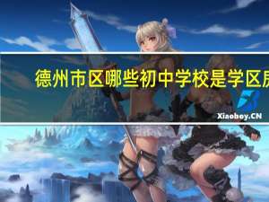 德州市区哪些初中学校是学区房