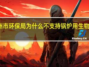德州市环保局为什么不支持锅炉用生物质燃料呢