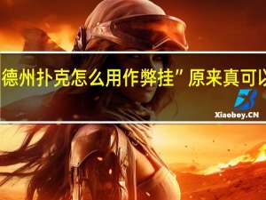德州扑克怎么用作弊挂”原来真可以开挂