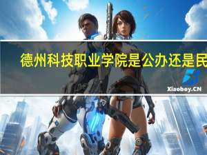 德州科技职业学院是公办还是民办