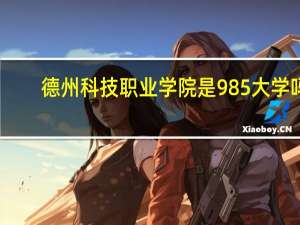 德州科技职业学院是985大学吗