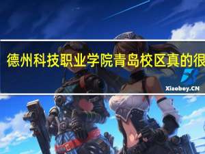 德州科技职业学院青岛校区真的很差吗