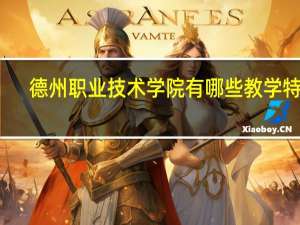 德州职业技术学院有哪些教学特色