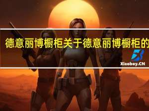 德意丽博橱柜 关于德意丽博橱柜的介绍