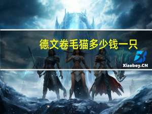 德文卷毛猫多少钱一只