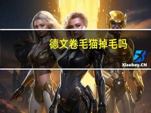 德文卷毛猫掉毛吗