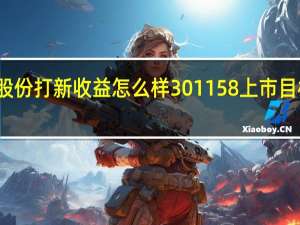 德石股份打新收益怎么样 301158上市目标价是多少