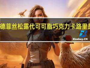 德菲丝 松露代可可脂巧克力卡路里是多少