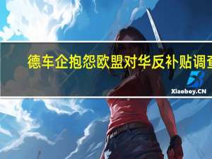 德车企抱怨欧盟对华反补贴调查：问卷的发送相当混乱“业余”