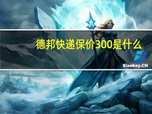 德邦快递保价300是什么