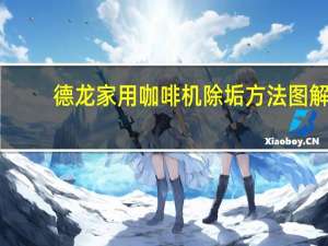 德龙家用咖啡机除垢方法图解