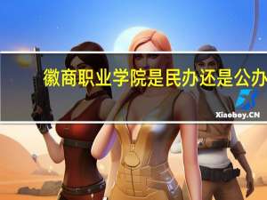 徽商职业学院是民办还是公办