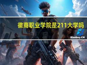 徽商职业学院是211大学吗