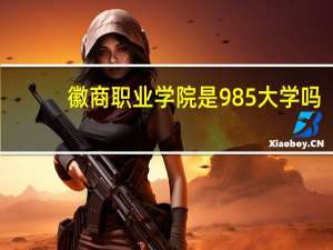 徽商职业学院是985大学吗