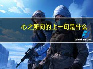 心之所向的上一句是什么