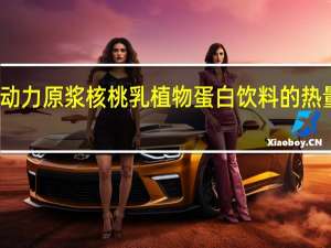 心动力 原浆核桃乳植物蛋白饮料的热量是多少