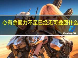 心有余而力不足已经无可挽回什么意思