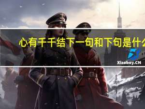 心有千千结下一句和下句是什么（心有千千结下一句）