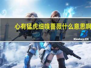心有猛虎细嗅蔷薇什么意思啊