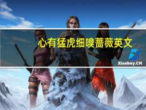 心有猛虎细嗅蔷薇英文（心有猛虎细嗅蔷薇）
