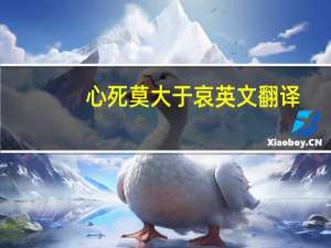 心死莫大于哀英文翻译（心死莫大于哀）