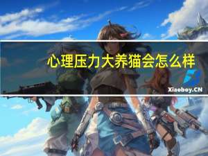 心理压力大养猫会怎么样