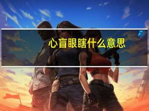 心盲眼瞎什么意思（心盲）