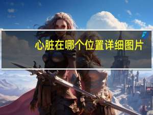 心脏在哪个位置详细图片（心脏在哪个位置）