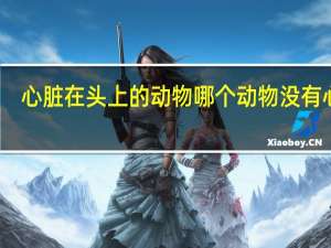 心脏在头上的动物 哪个动物没有心脏