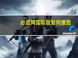 必应网国际版如何搜图（必应网国际版）