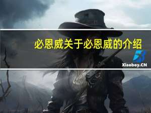 必恩威 关于必恩威的介绍