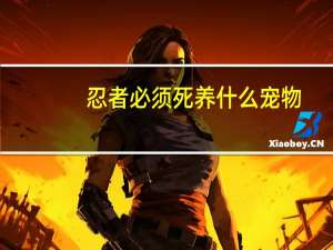 忍者必须死养什么宠物
