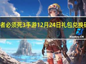 忍者必须死3手游12月24日礼包兑换码在哪领-12月24日礼包码是什么