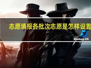 志愿填报各批次志愿是怎样设置的