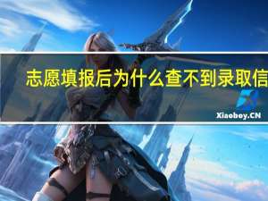 志愿填报后为什么查不到录取信息