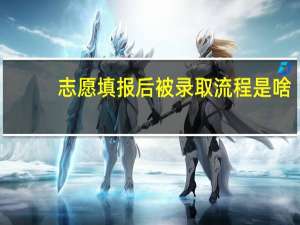 志愿填报后被录取流程是啥