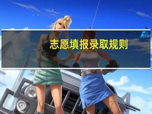 志愿填报录取规则