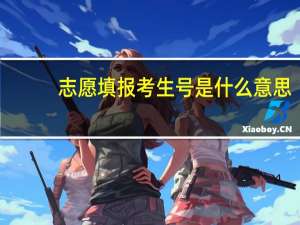 志愿填报考生号是什么意思