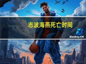 志波海燕死亡时间（志波海燕）